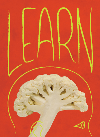 Wall graphic. Cauliflower forms the brain of a person, with the work 'learn' overhead.